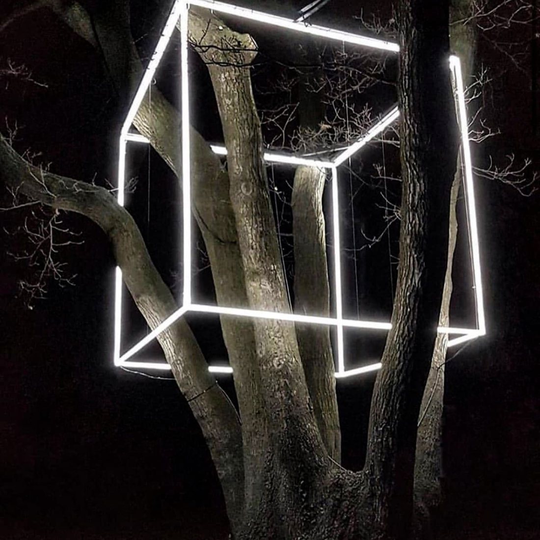 Světelný geometrický objekt mezi stromy na festivalu Světlo v ulicích
